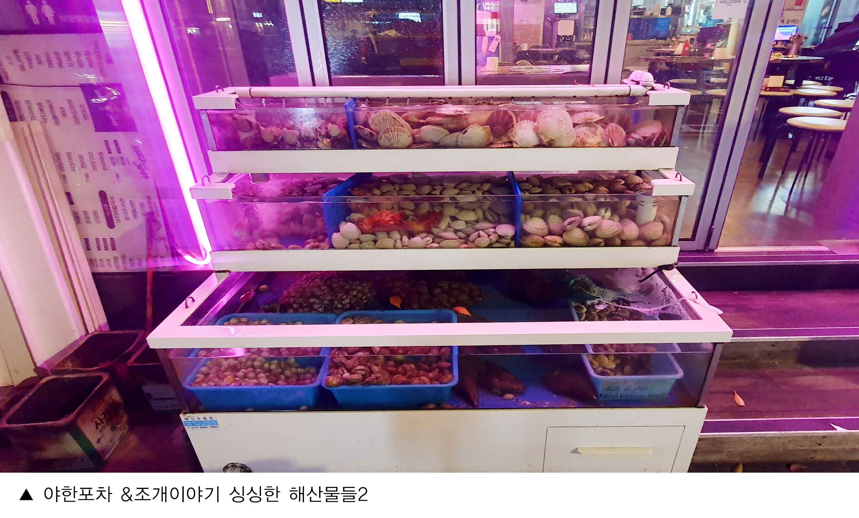 야한포차-조개이야기_홍대민3.jpg