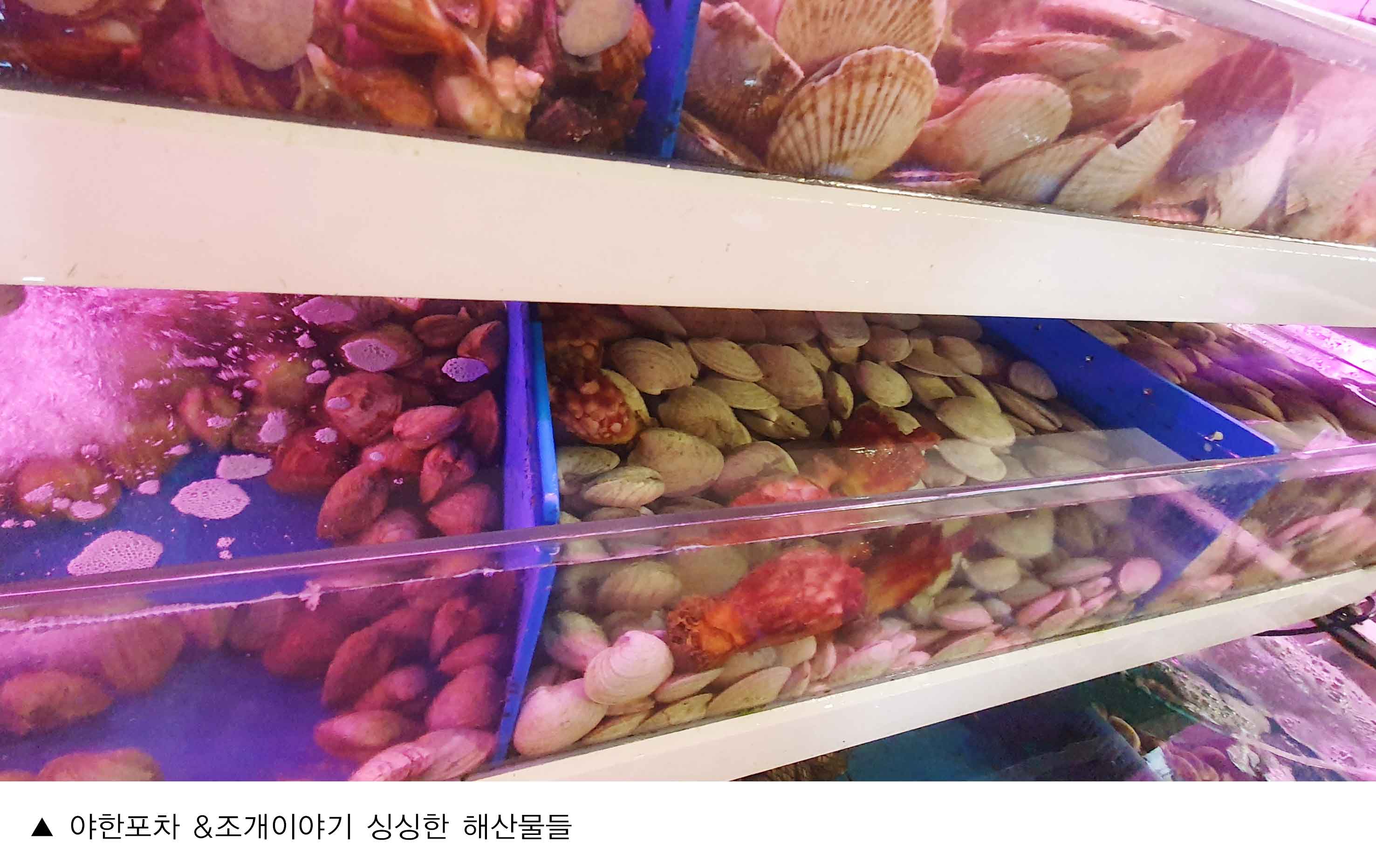 야한포차-조개이야기_홍대민2.jpg